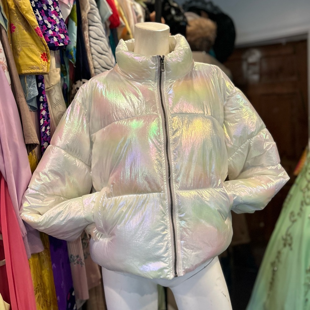 Iridescent Cloud Puffer Jacket - image 1